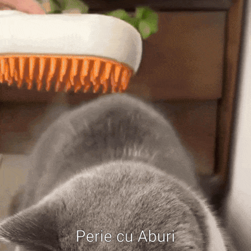 Perie cu Aburi pentru Animale